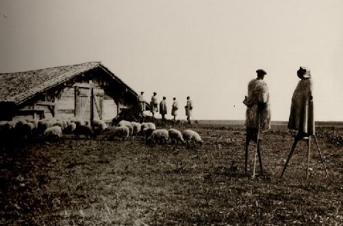 the last people on stilts at the beginning of the XXth century